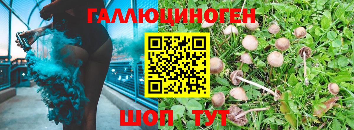 купить  сайты  Вход с VPN  Воркута  Галлюциногенные грибы Cubensis 