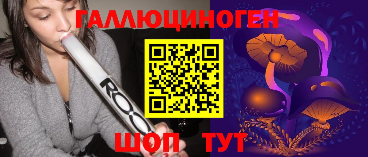 Галлюциногенные грибы Psilocybe Воркута